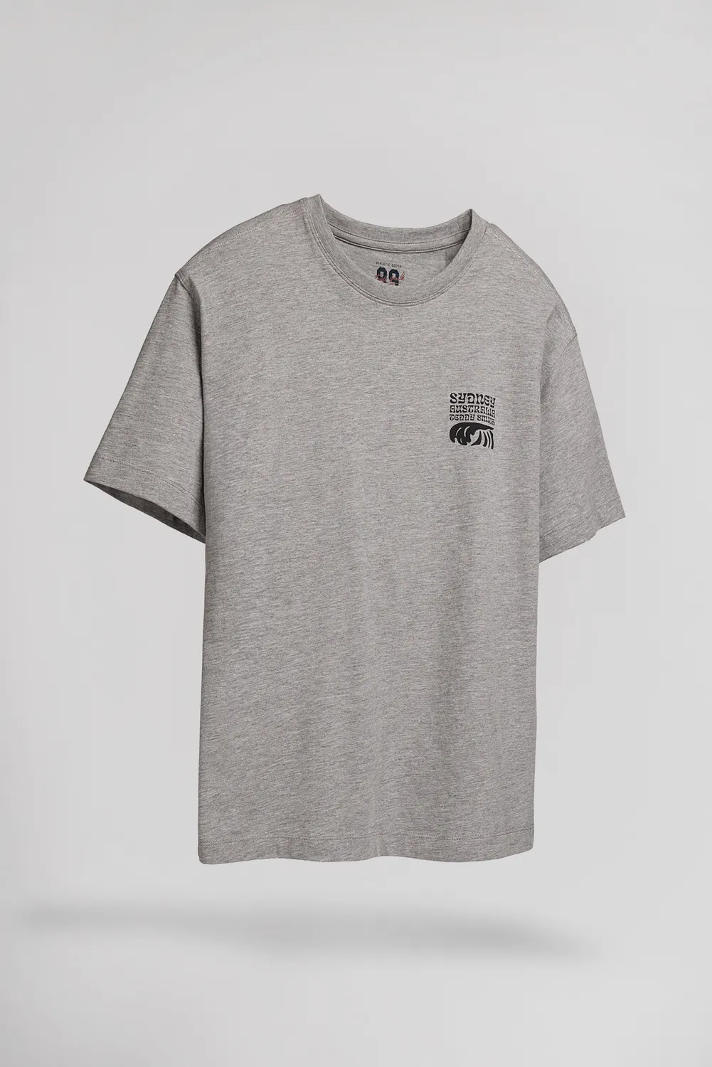 Teddy Smith T-World T-Shirt Bambino Grigio Cina Jersey