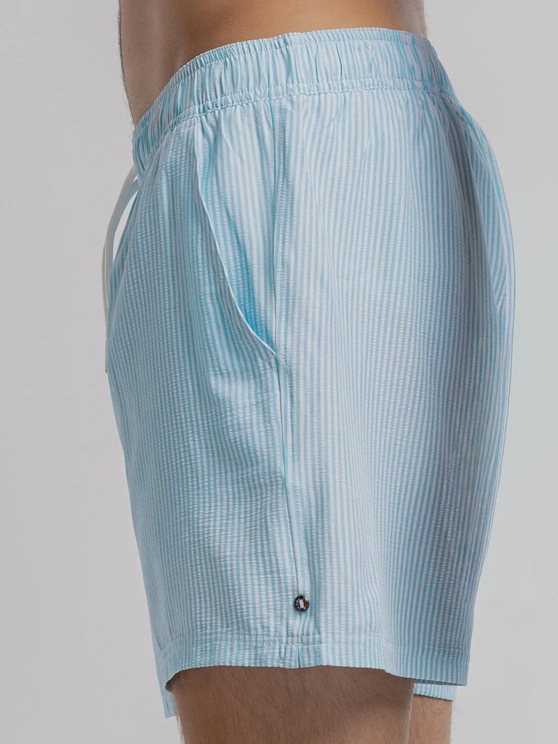 Teddy Smith S-Pablo costume mare blu laguna a righe