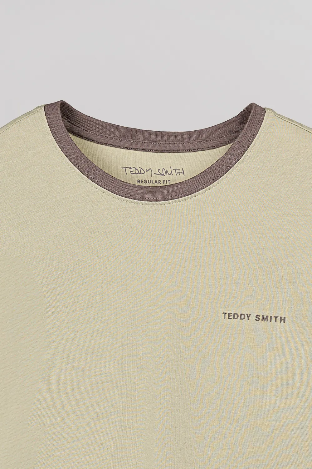 Teddy Smith The-Tee 2 R t-shirt verde salvia uomo