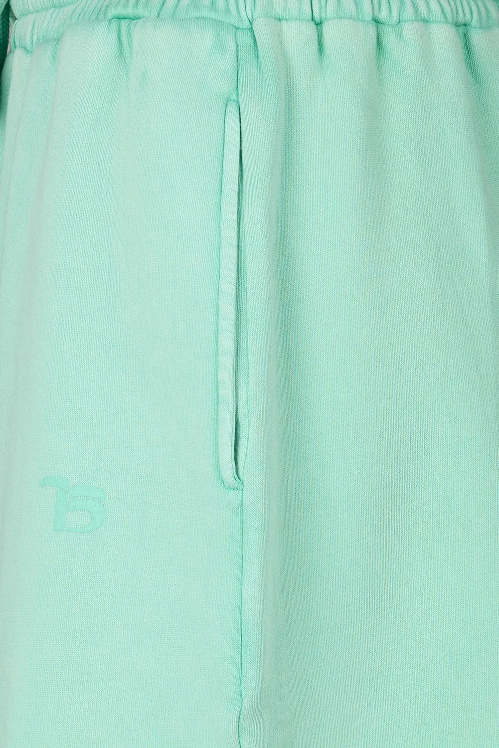 Teddy Smith S-Vito shorts felpa verde menta