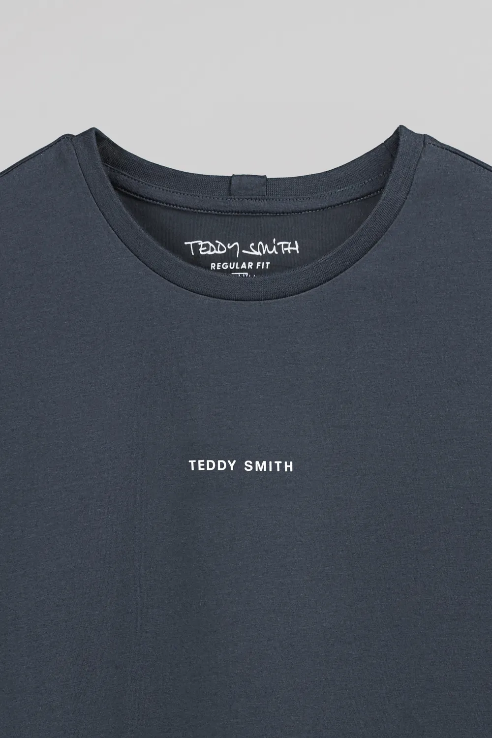 Teddy Smith T-Soy 2 MC T-shirt Uomo Grigio Cotone