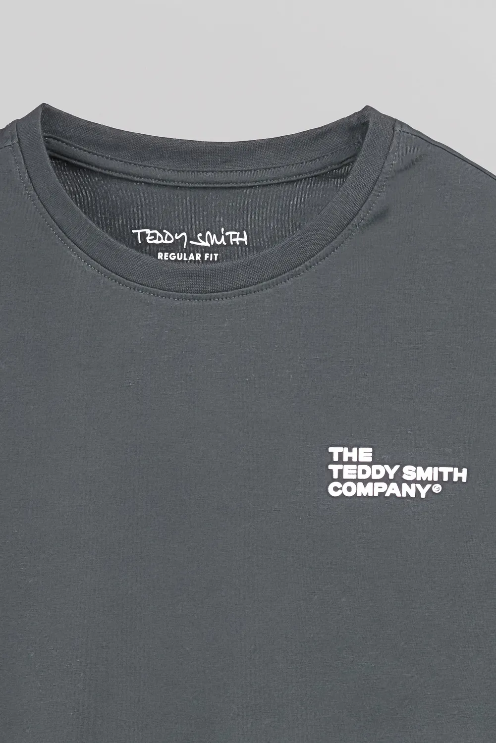 Teddy Smith T-Company t-shirt grigio meteore stretch