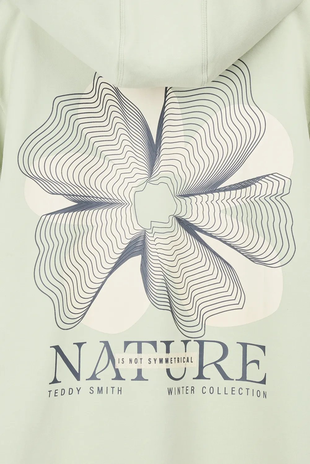 Teddy Smith S-Nature Hoody felpa cappuccio vert nacre