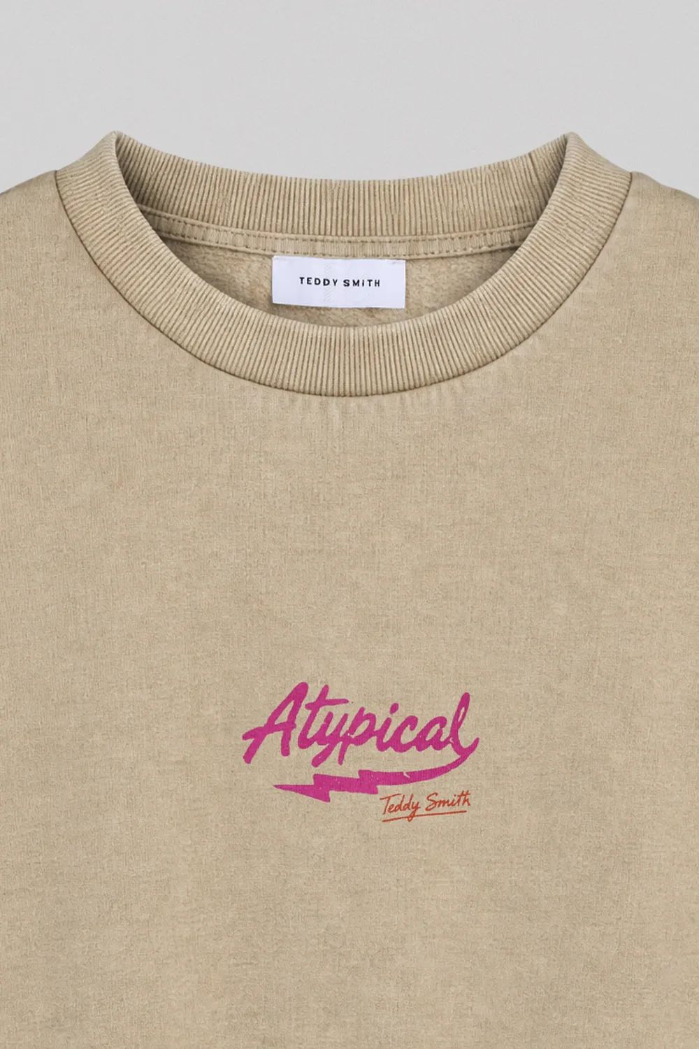 Teddy Smith S-Atypical RC Felpa Donna Wolf Beige Stampa