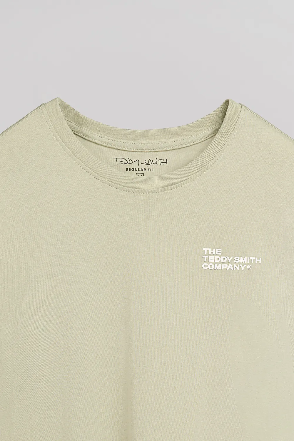 Teddy Smith T-Pany t-shirt uomo verde salvia