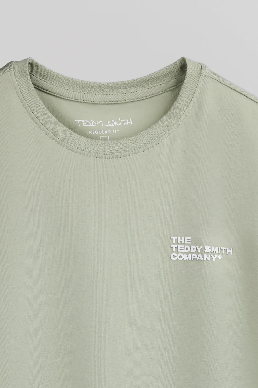 Teddy Smith T-Company t-shirt verde salvia uomo cotone