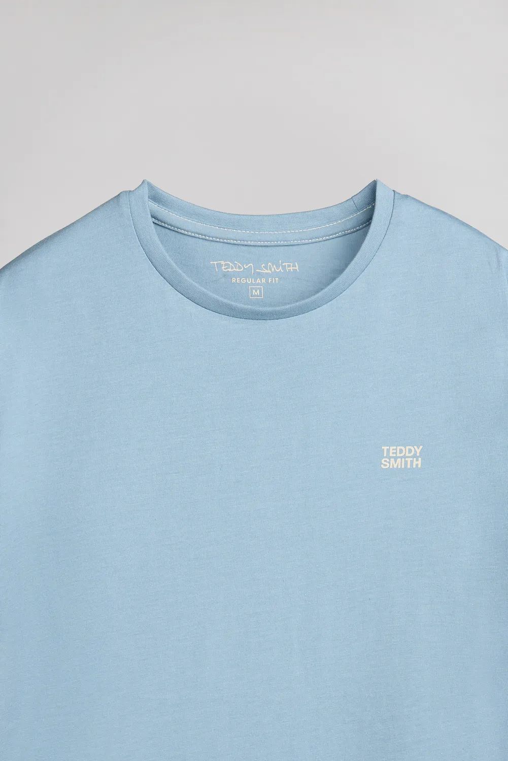 Teddy Smith The Tee 1 maglietta blu gris uomo