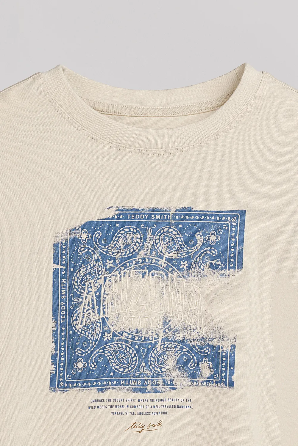 Teddy Smith T-Rond MC JR Beige Clair T-Shirt Bambino Cotone