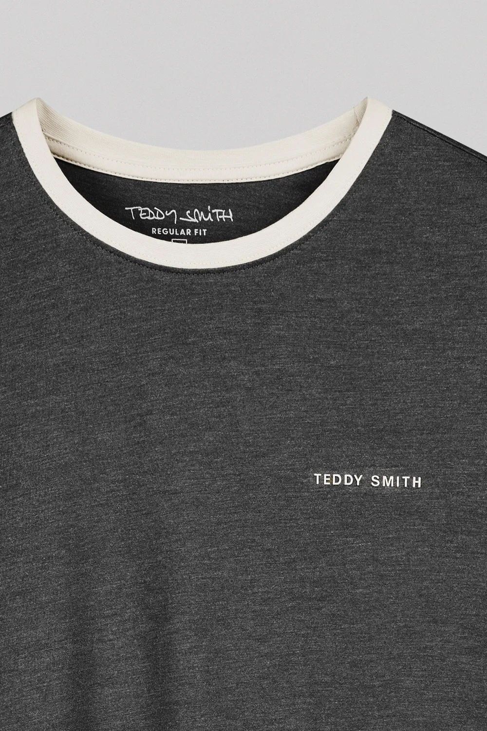 Teddy Smith The-Tee 2 R MC t-shirt uomo antracite cotone