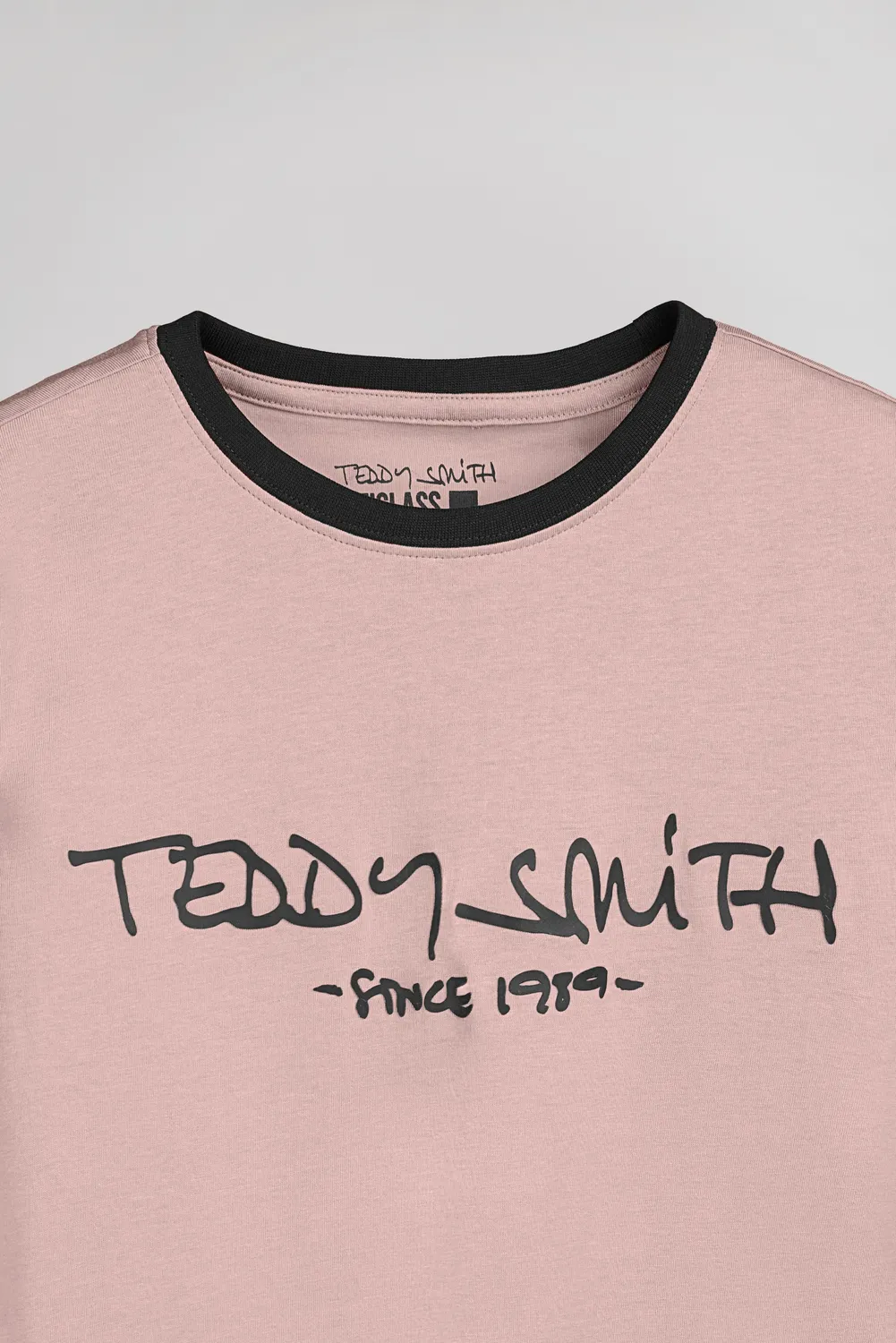 Teddy Smith Ticlass MC t-shirt wood rose