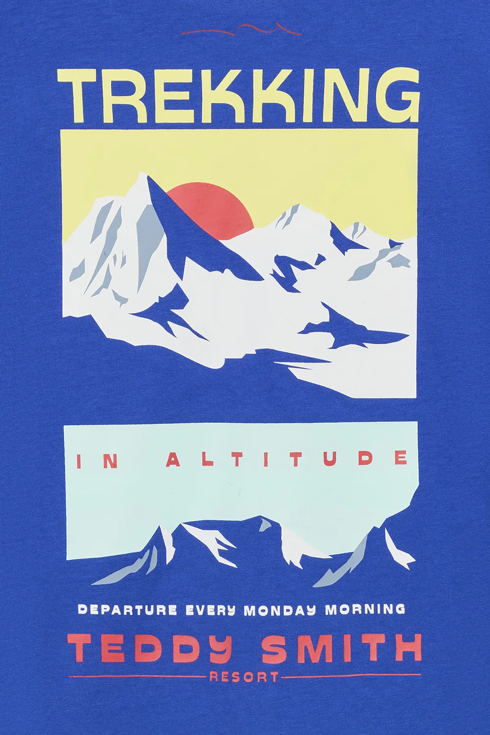 Teddy Smith T-Mountain maglietta bambino blu pep's montagna